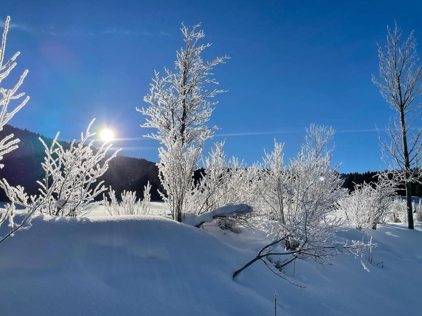 Bergblick Rundum Zirl By Base&Beyond Apartment Bagian luar foto